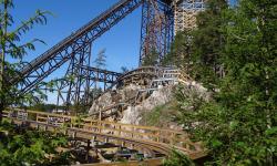 Featured image of post Le dynamisme des parcs suédois - Kolmården (2/3)