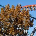 Dragon Challenge ferme définitivement à Islands of Adventure !