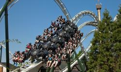 Featured image of post Les inversions rares ou complexes