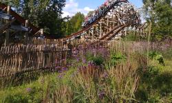 Featured image of post RMC, ou l’apparition d’un nouveau genre